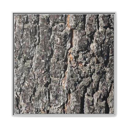 Aged Beauty - Unique Stretched Canvas Wall Art - Art By Earth