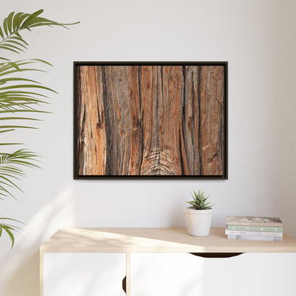 Echoes of Timber - Unique Stretched Canvas Wall Art - Art By Earth