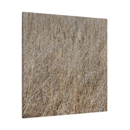 Silent Prairie - Unique Frameless Canvas Wall Art - Art By Earth