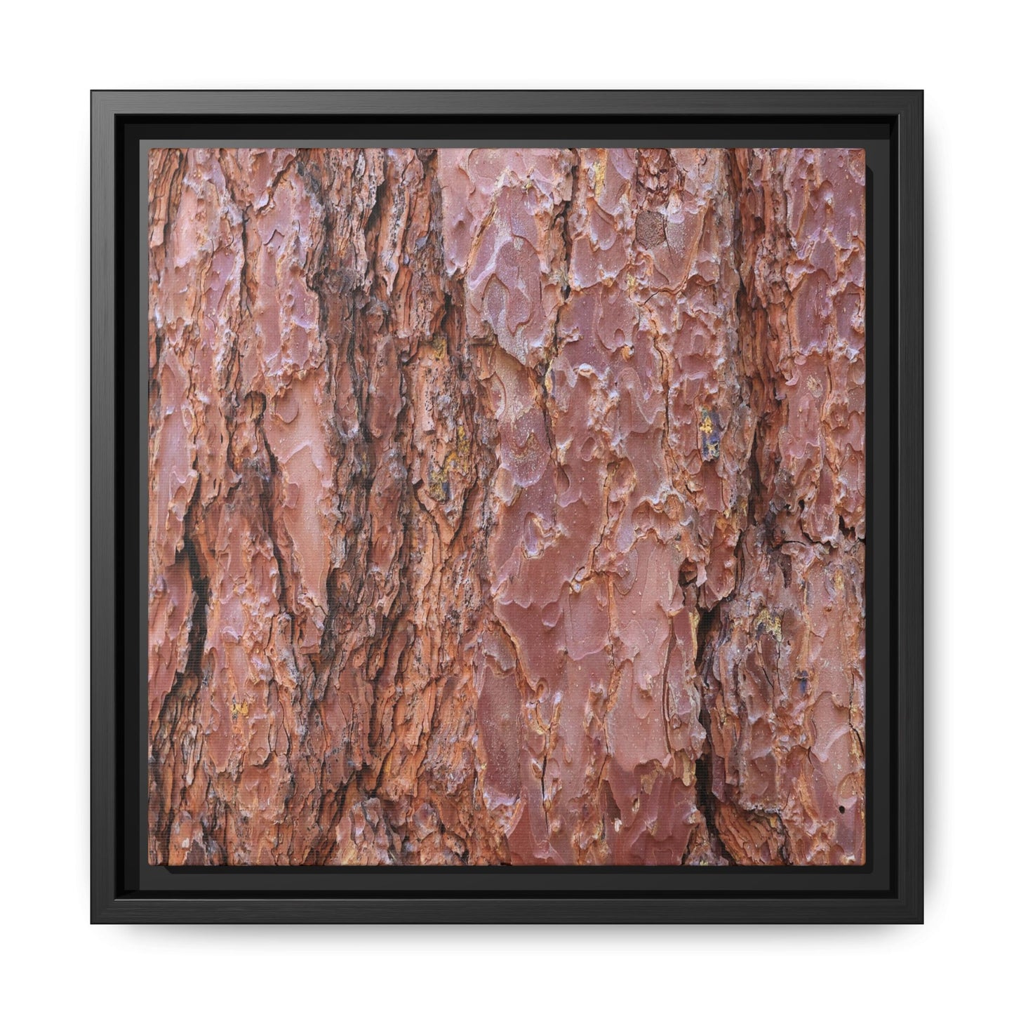 Russet Ridges - Unique Stretched Canvas Wall Art - Art By Earth