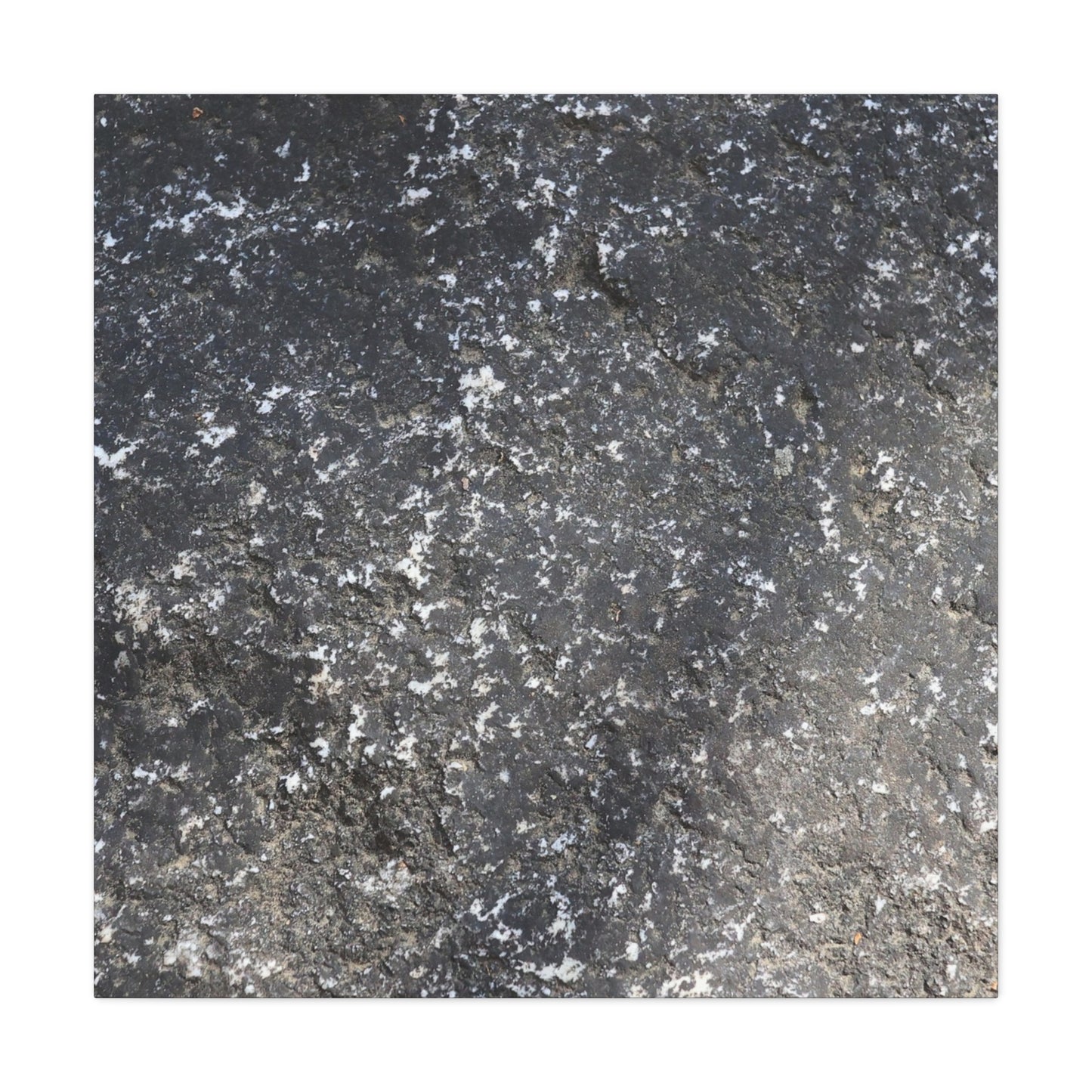 Cosmic Dust Fragments - Unique Frameless Canvas Wall Art - Art By Earth