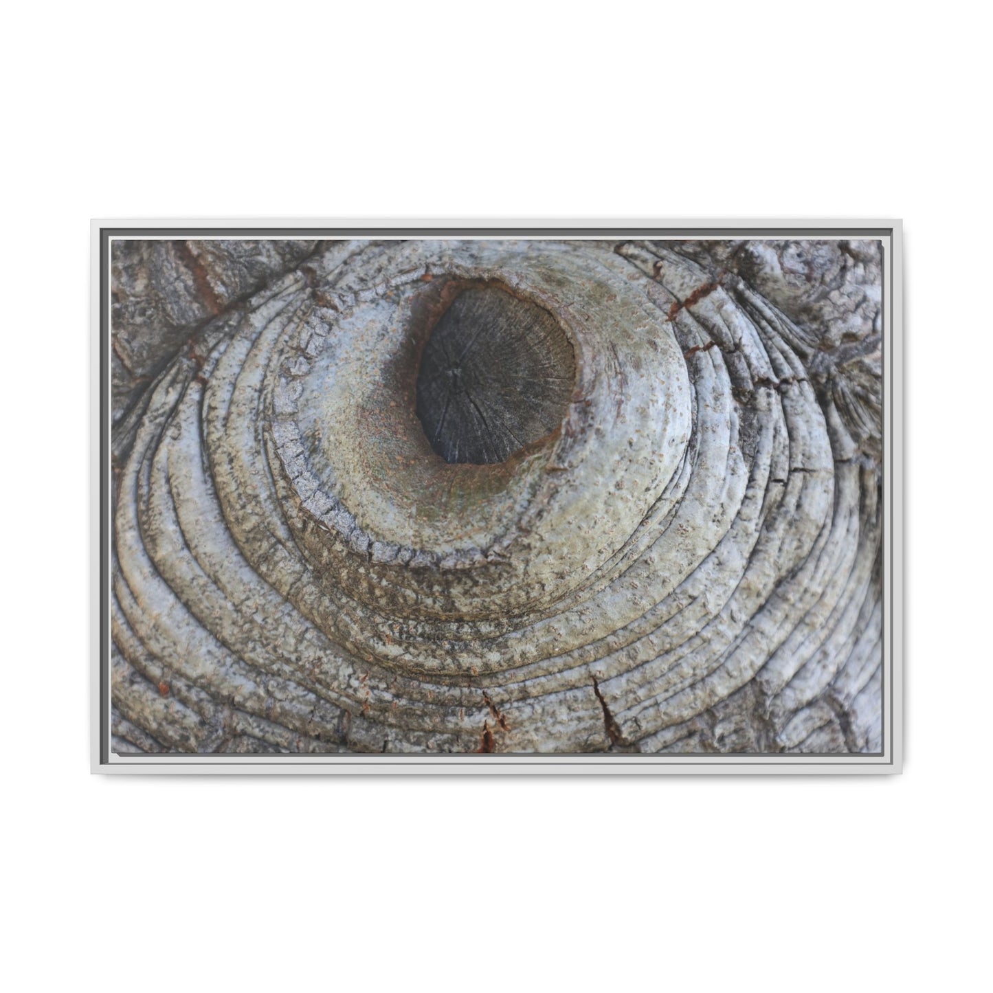 Echoes of Time - Unique Stretched Canvas Wall Art - Art By Earth