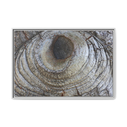 Echoes of Time - Unique Stretched Canvas Wall Art - Art By Earth