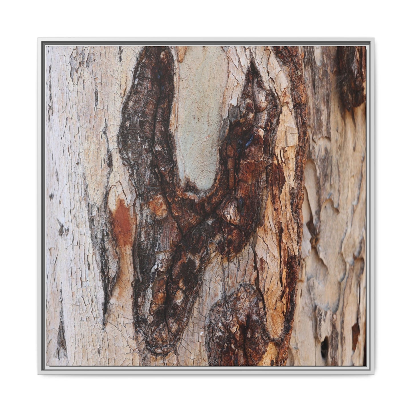 Texture of Time - Unique Stretched Canvas Wall Art - Art By Earth