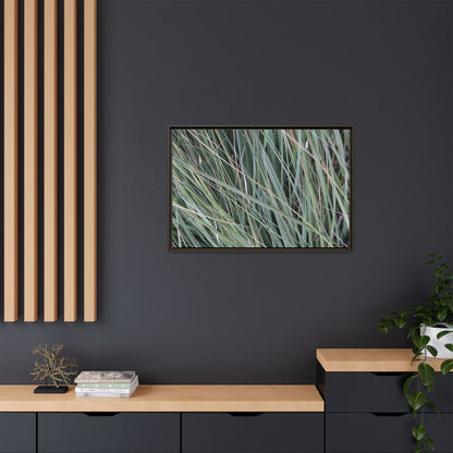 Grassland Symphony - Unique Stretched Canvas Wall Art - Art By Earth