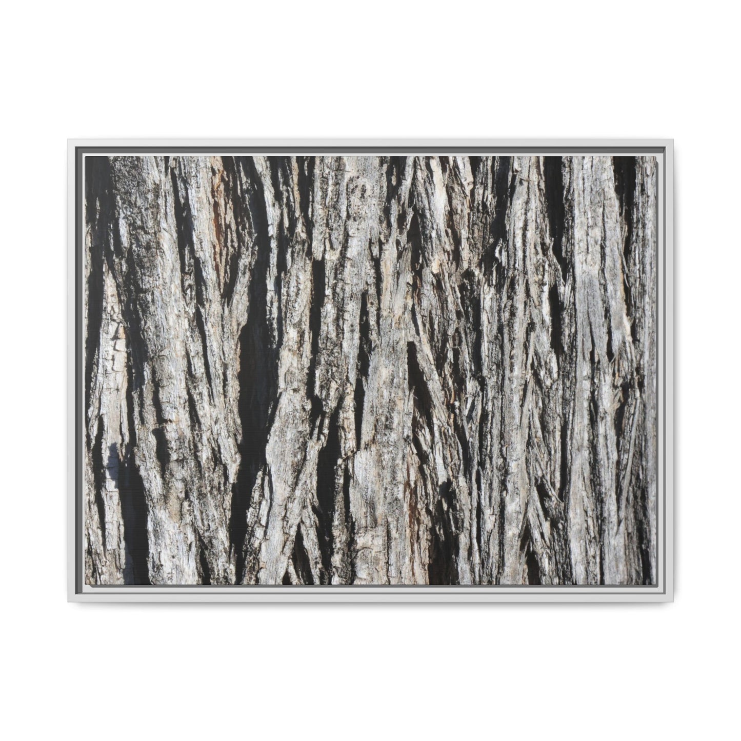 Nature's Abstract - Unique Stretched Canvas Wall Art - Art By Earth