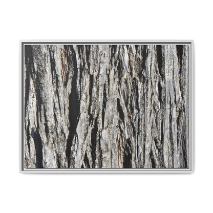 Nature's Abstract - Unique Stretched Canvas Wall Art - Art By Earth