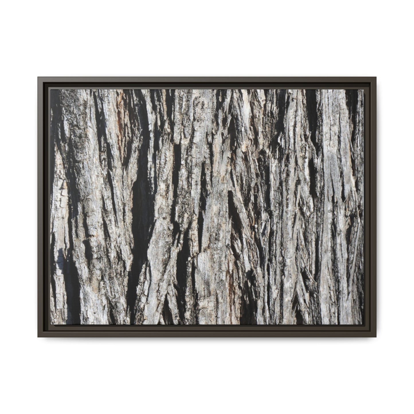 Nature's Abstract - Unique Stretched Canvas Wall Art - Art By Earth