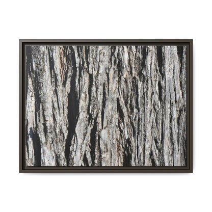 Nature's Abstract - Unique Stretched Canvas Wall Art - Art By Earth