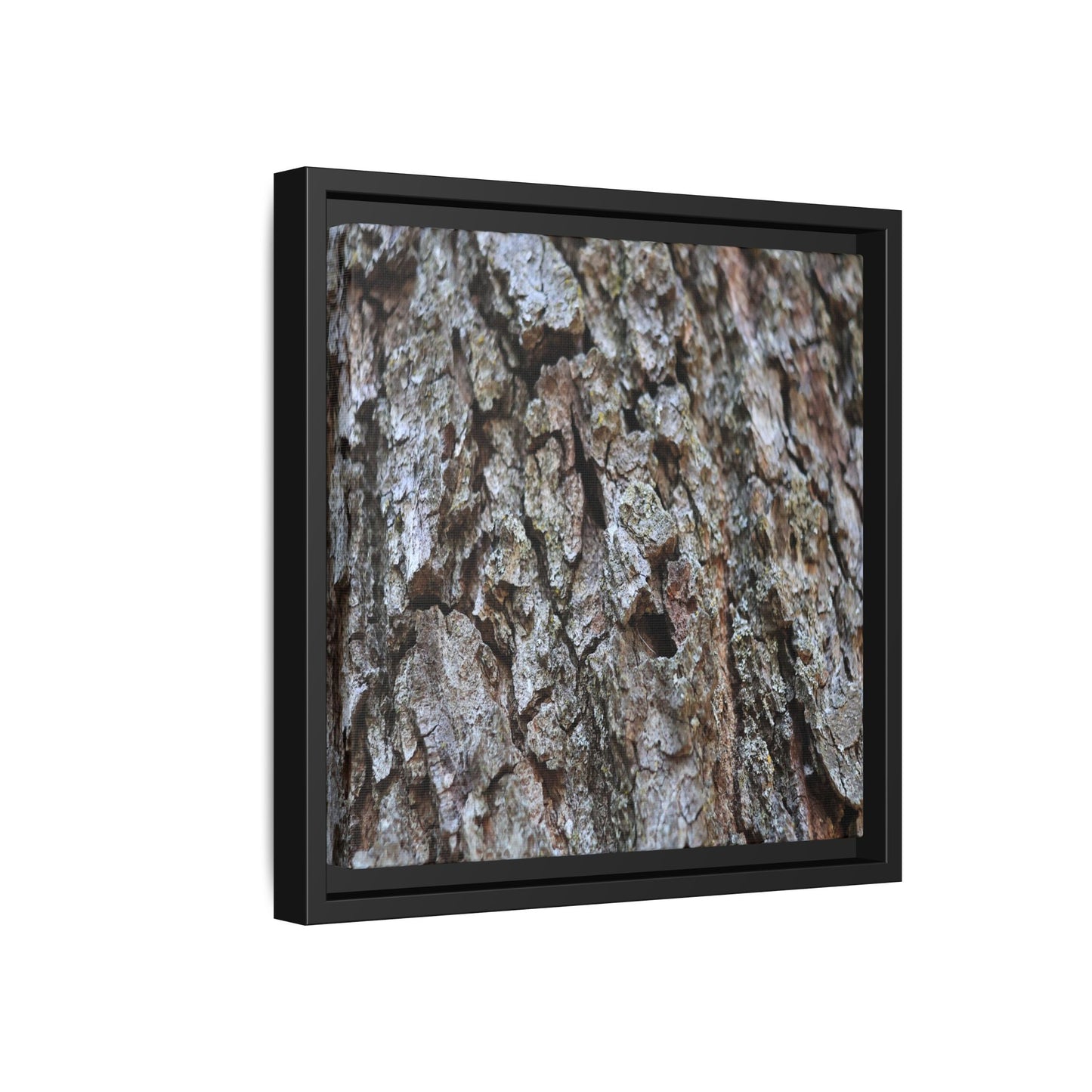 Woodland Canvas - Unique Stretched Canvas Wall Art - Art By Earth