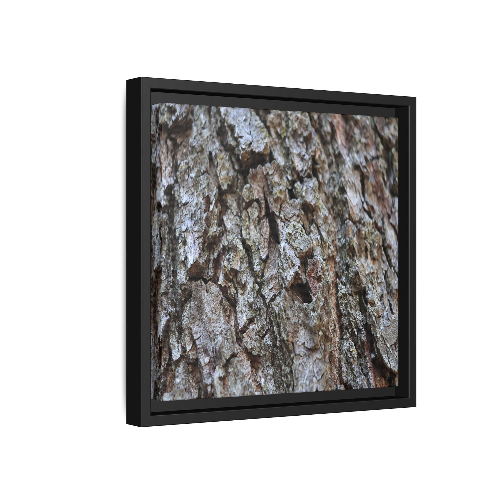 Woodland Canvas - Unique Stretched Canvas Wall Art - Art By Earth