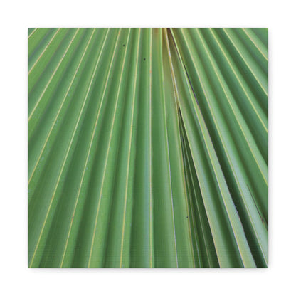 Fan of Green - Unique Frameless Canvas Wall Art - Art By Earth