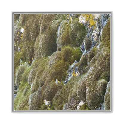 Moss Symphony - Unique Stretched Canvas Wall Art