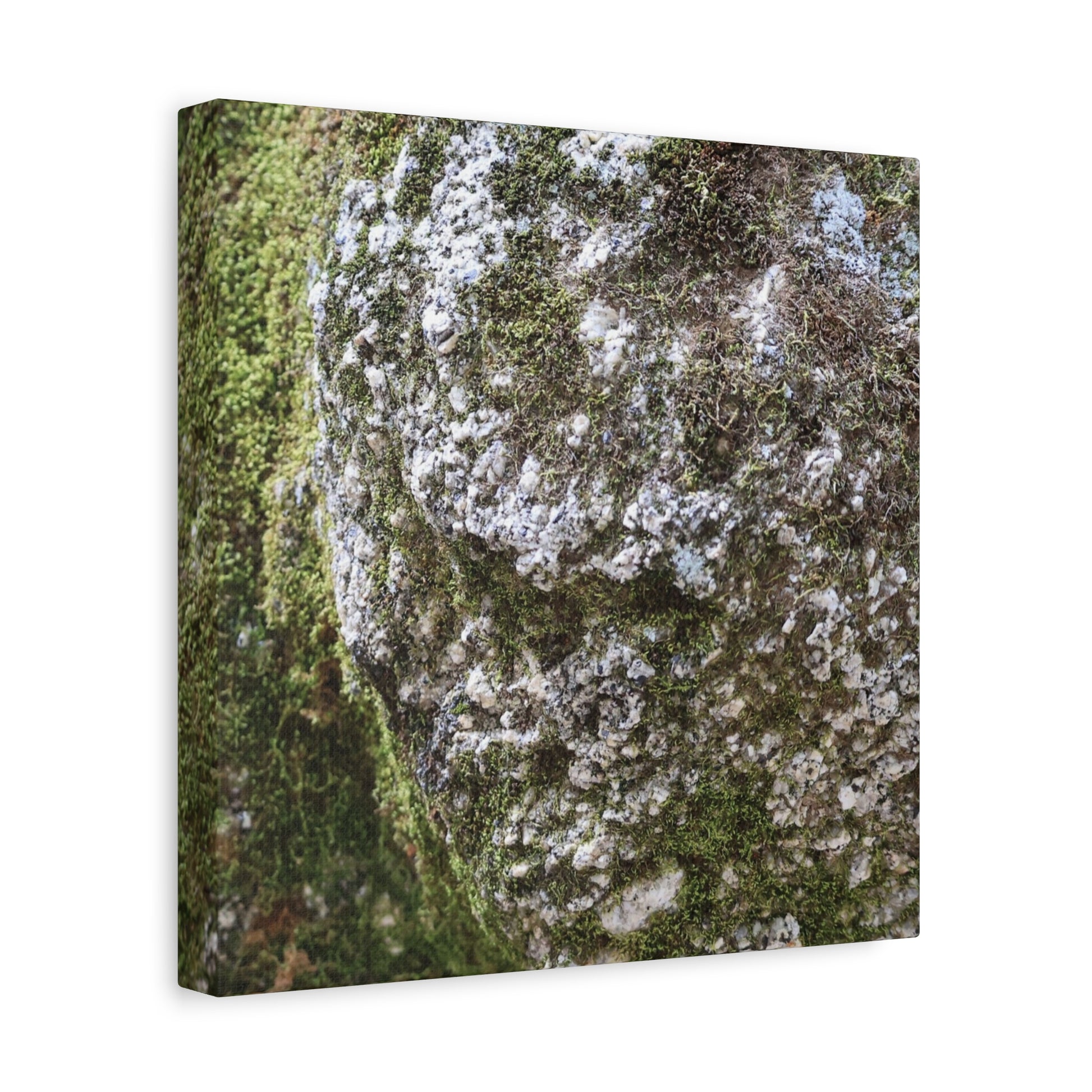 Moss and Stone Whispers - Unique Frameless Canvas Wall Art - Art By Earth