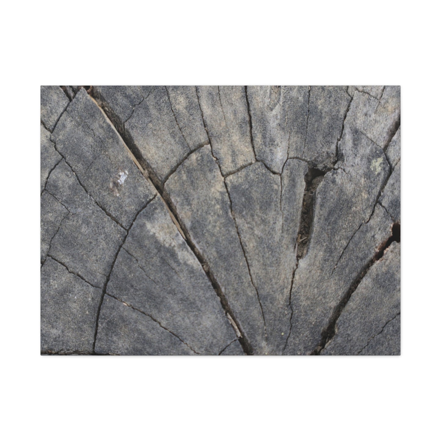 Geological Mosaic - Unique Frameless Canvas Wall Art - Art By Earth