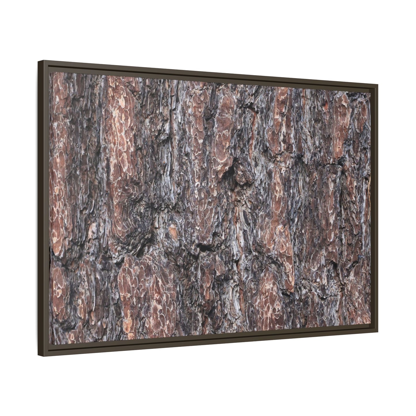 Echoes of Wood - Unique Stretched Canvas Wall Art