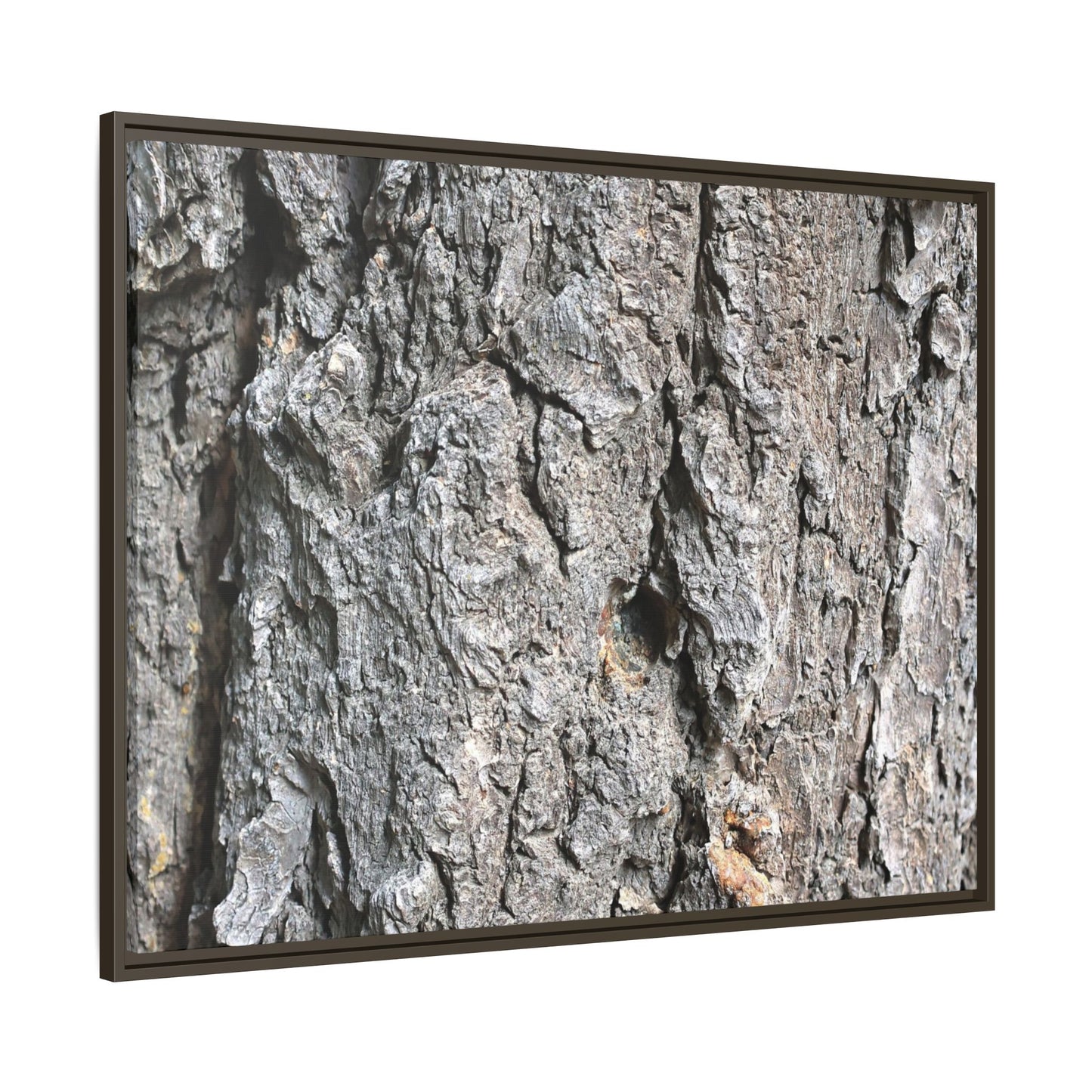 Crusty Exterior - Unique Stretched Canvas Wall Art - Art By Earth