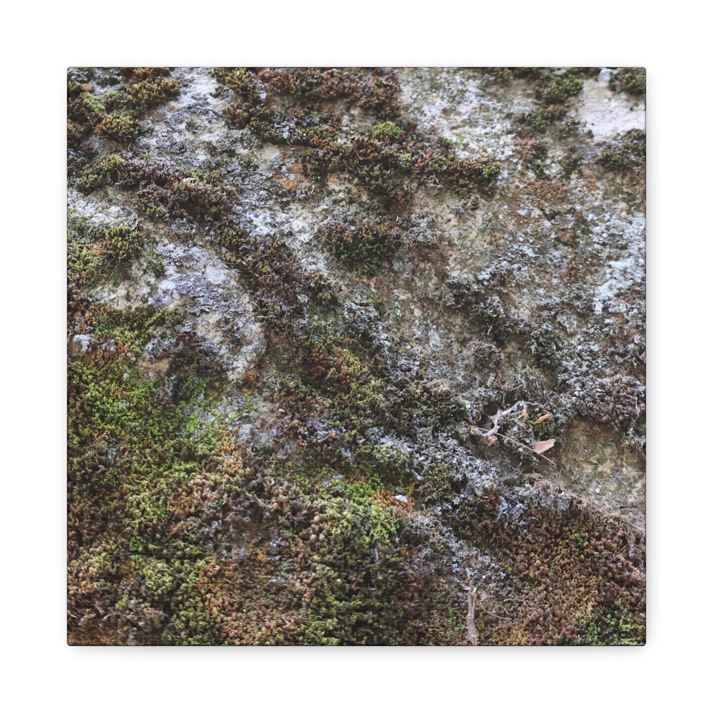 Moss Tapestry - Unique Frameless Canvas Wall Art - Art By Earth