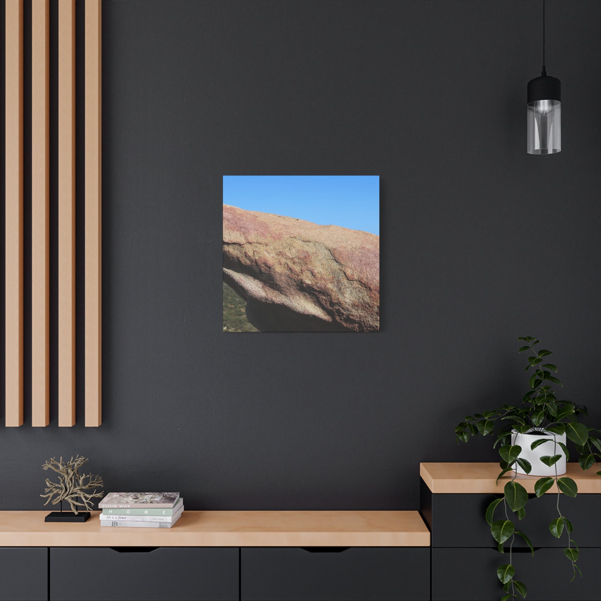 Stone Dreamer - Unique Frameless Canvas Wall Art - Art By Earth