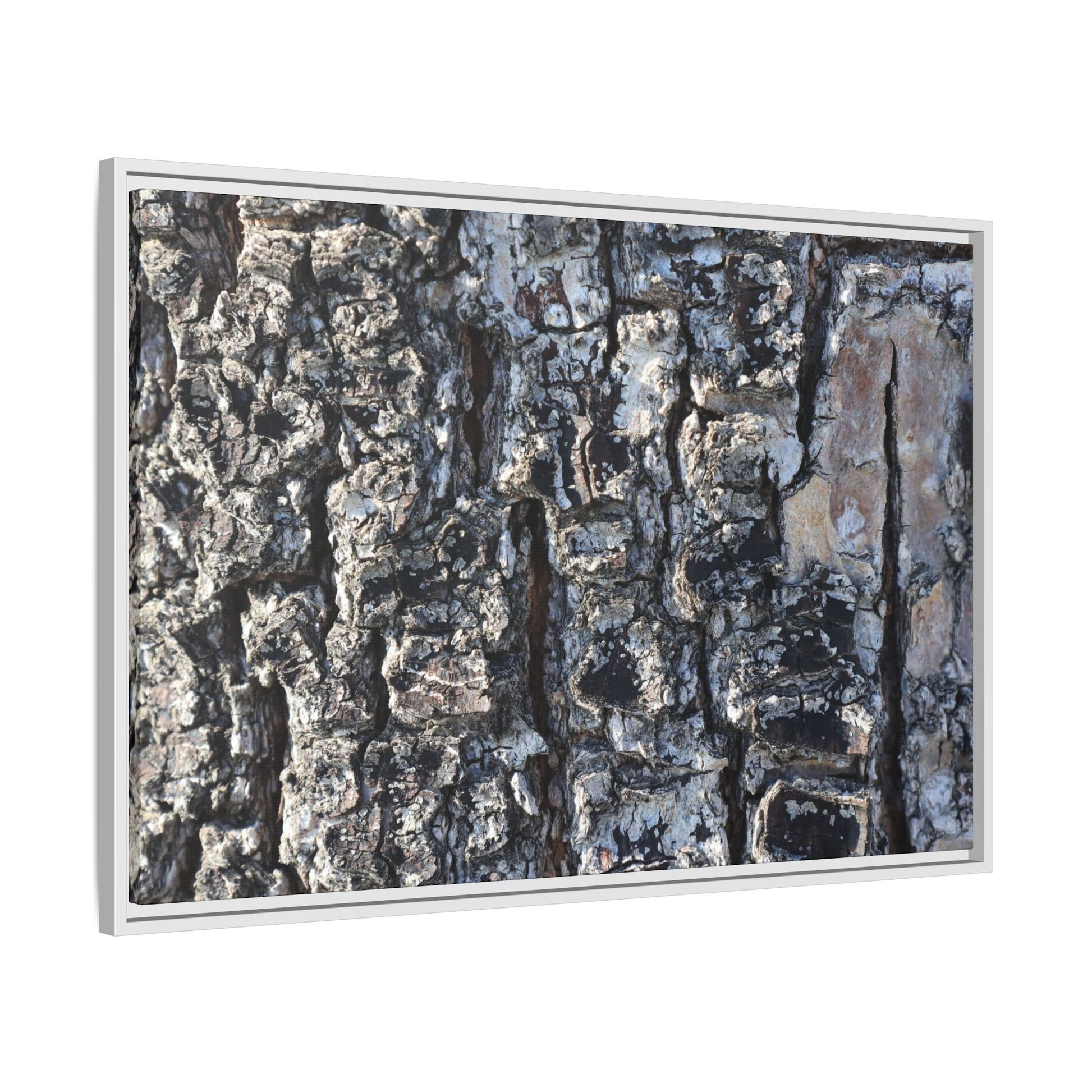The Bark Chronicles - Unique Stretched Canvas Wall Art - Art By Earth