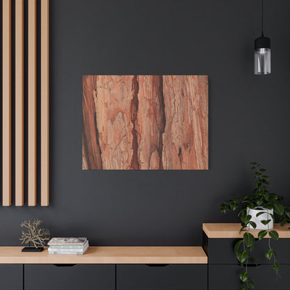 Bark Layers of Time - Unique Frameless Canvas Wall Art - Art By Earth