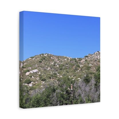 Rocky Hills with Desert Vegetation - Unique Frameless Canvas Wall Art