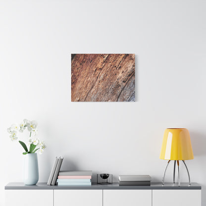 Natural Wood Grain - Unique Frameless Canvas Wall Art - Art By Earth