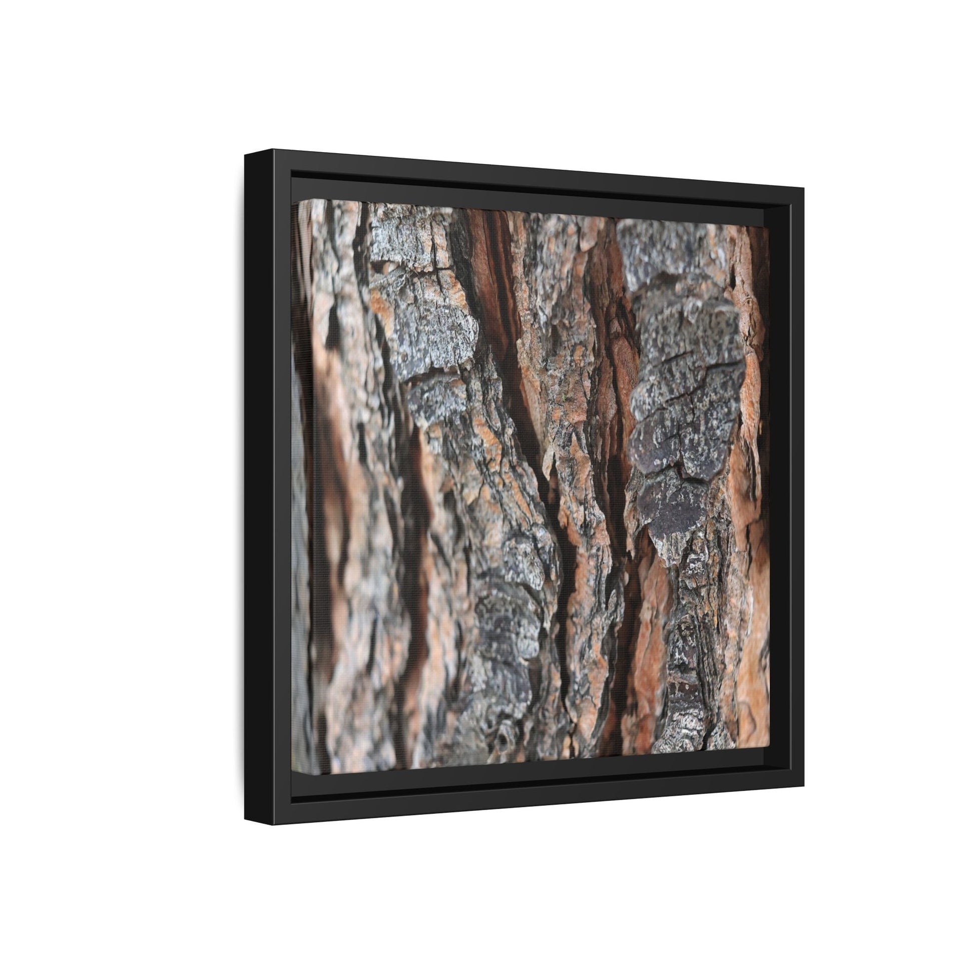 Fractured Nature - Unique Stretched Canvas Wall Art - Art By Earth