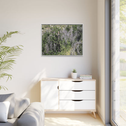 Forest Decline - Unique Stretched Canvas Wall Art