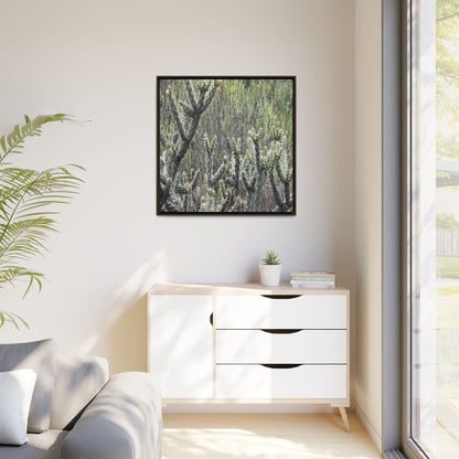 Prickly Paradise - Unique Stretched Canvas Wall Art - Art By Earth