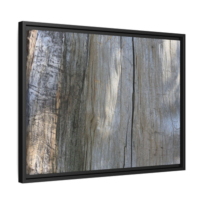Cracked Timber Texture - Unique Stretched Canvas Wall Art