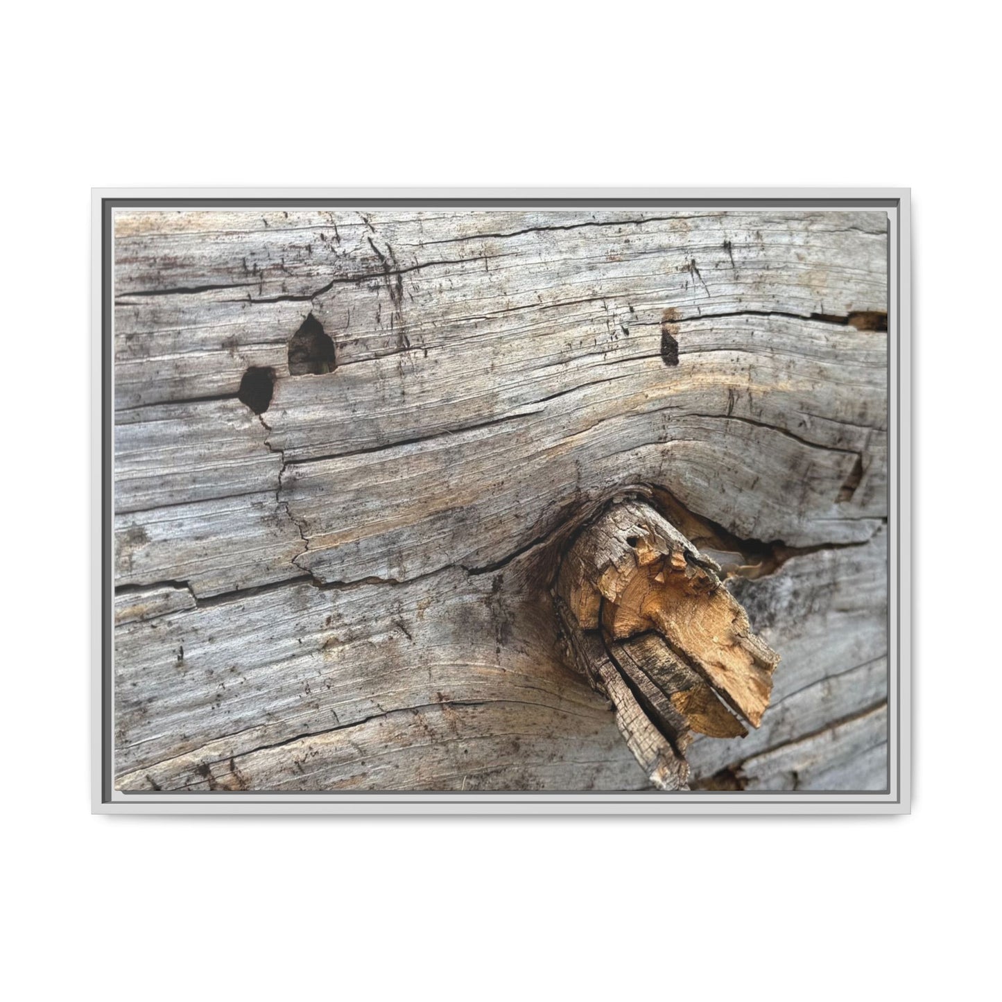 Weathered Wood Texture - Unique Stretched Canvas Wall Art - Art By Earth