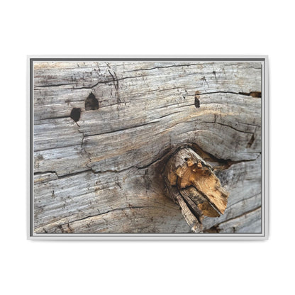 Weathered Wood Texture - Unique Stretched Canvas Wall Art - Art By Earth
