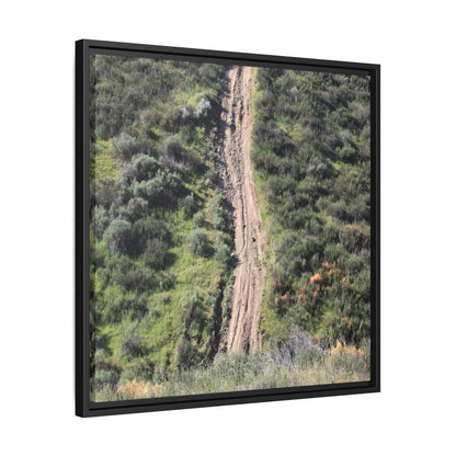 Desert Path Through Sage - Unique Stretched Canvas Wall Art - Art By Earth