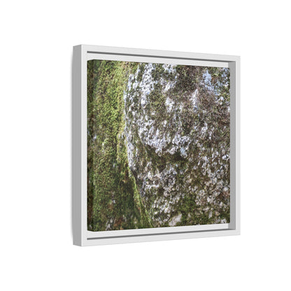 Lichen Landscape - Unique Stretched Canvas Wall Art - Art By Earth