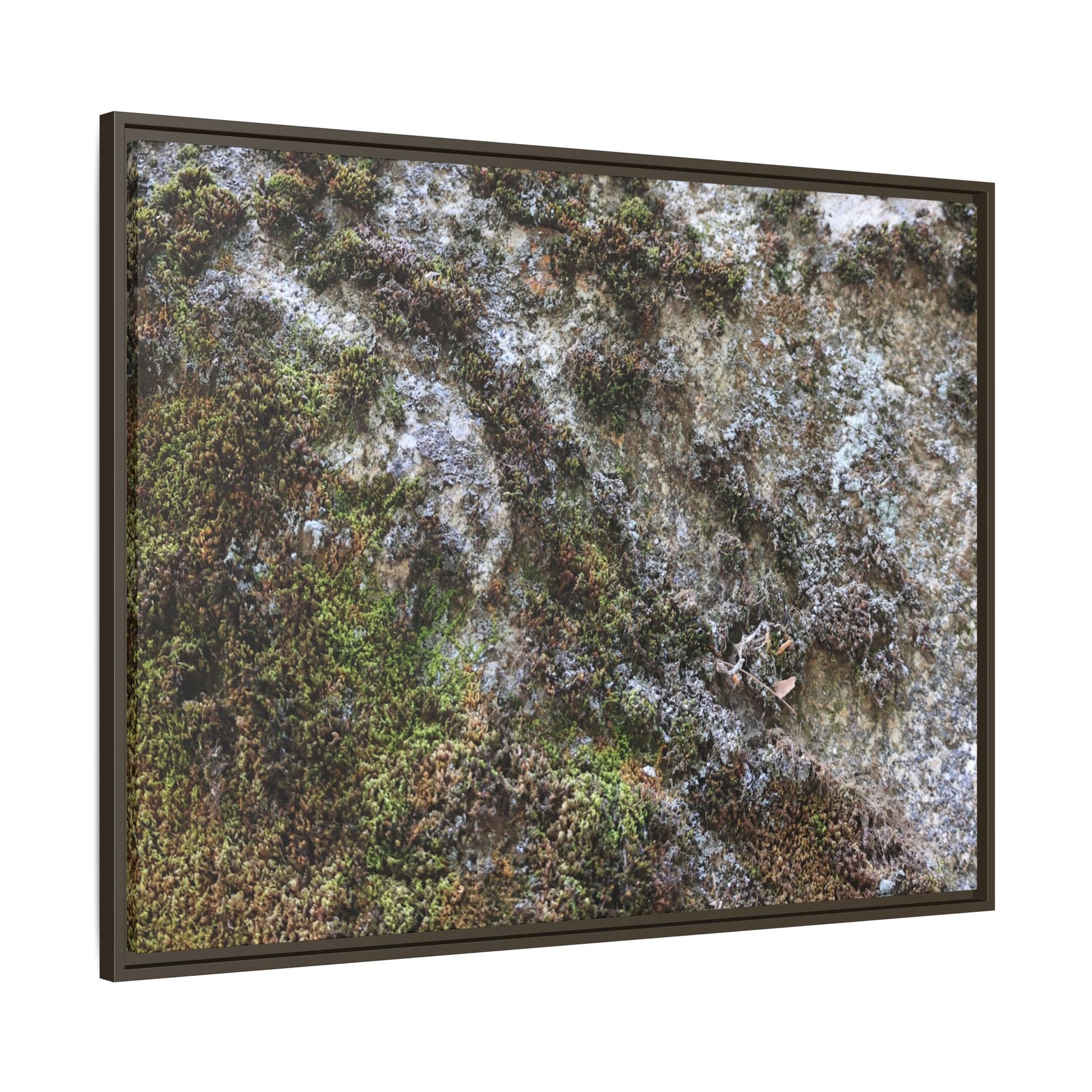 Mossy Whispers - Unique Stretched Canvas Wall Art - Art By Earth