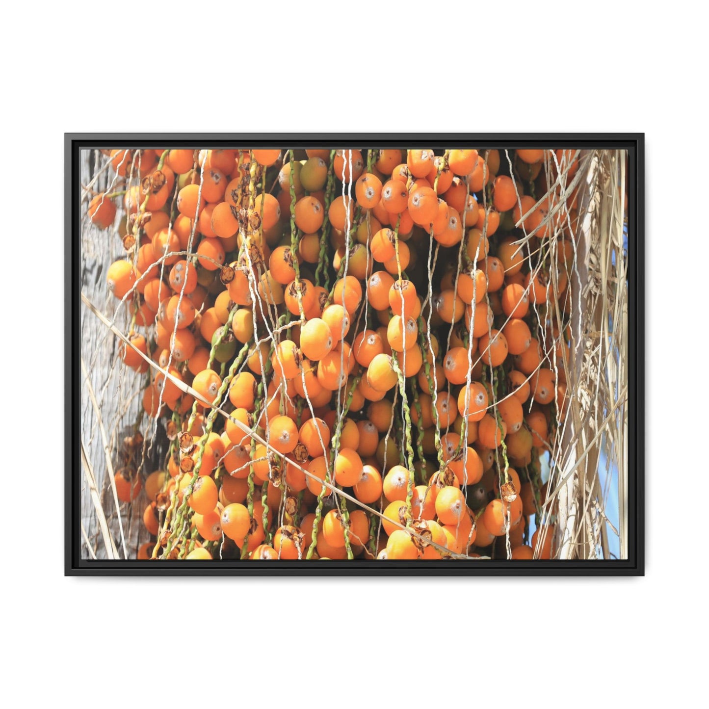 Clusters of Sunlight - Unique Canvas Wall Art - Art By Earth