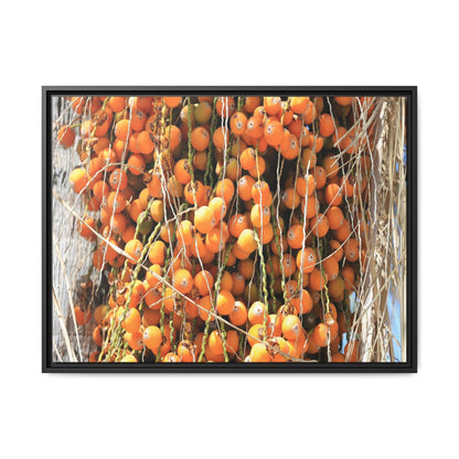 Clusters of Sunlight - Unique Canvas Wall Art - Art By Earth