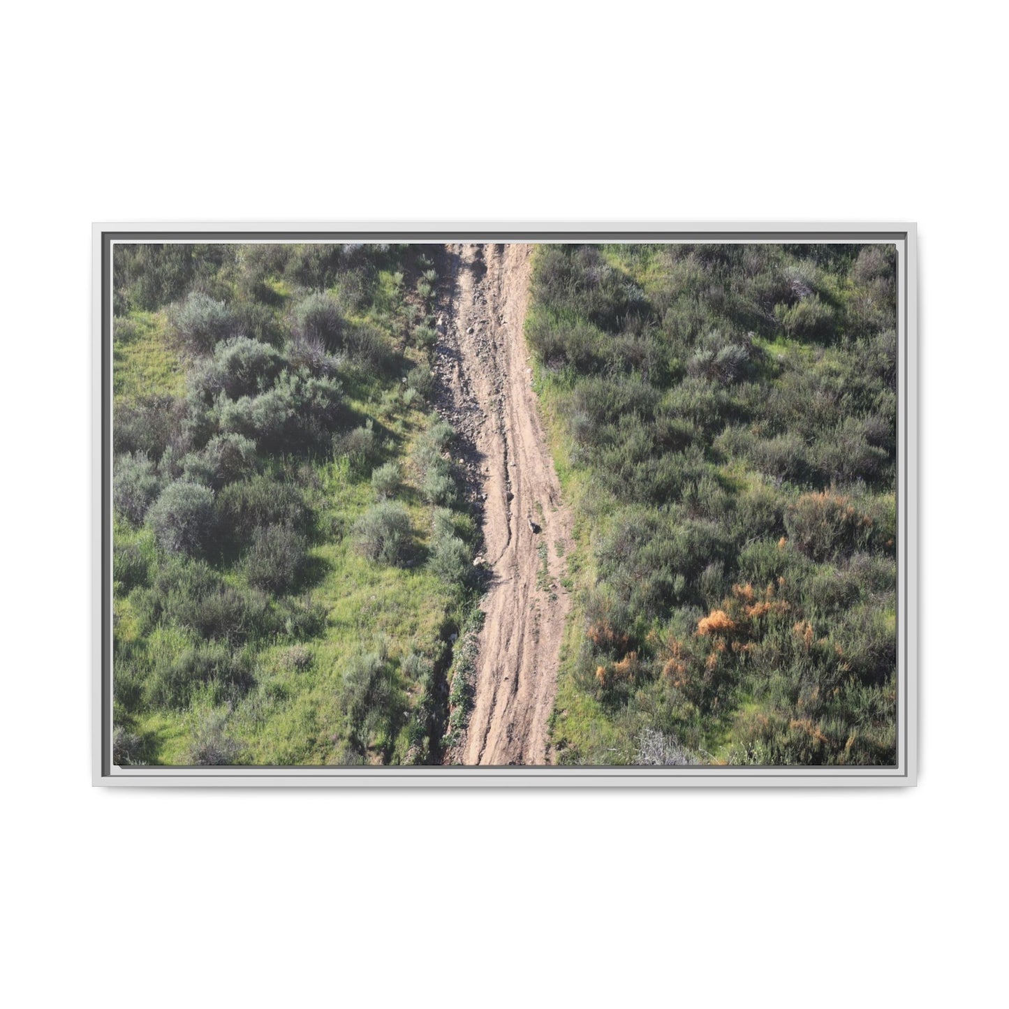 Desert Path Through Sage - Unique Stretched Canvas Wall Art - Art By Earth