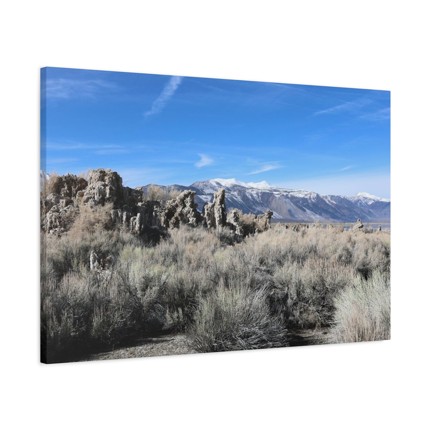 Echoes of Solitude - Unique Frameless Canvas Wall Art
