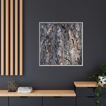Weathered Patterns - Unique Stretched Canvas Wall Art - Art By Earth