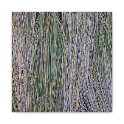 Whispers of Grass - Unique Frameless Canvas Wall Art - Art By Earth