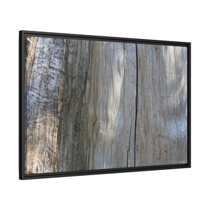 Cracked Timber Texture - Unique Stretched Canvas Wall Art