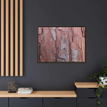 Peeling Bark - Unique Stretched Canvas Wall Art - Art By Earth