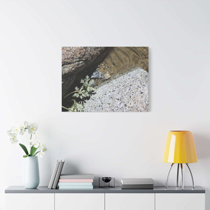Between Stone and Sand - Unique Frameless Canvas Wall Art - Art By Earth