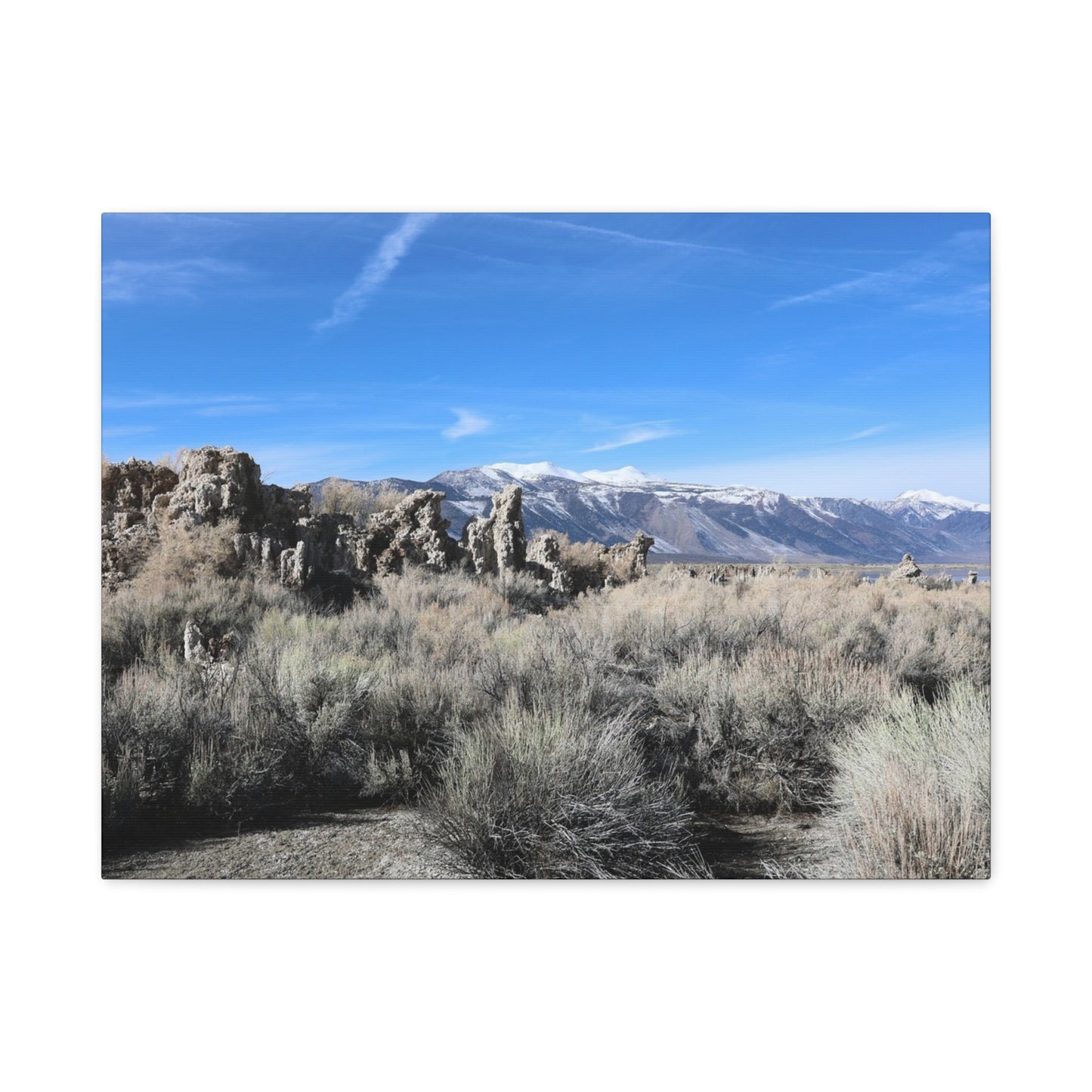 Echoes of Solitude - Unique Frameless Canvas Wall Art