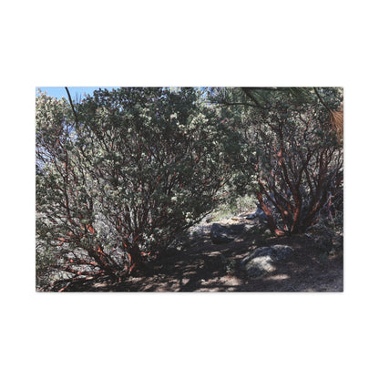 Desert Blooms - Unique Frameless Canvas Wall Art