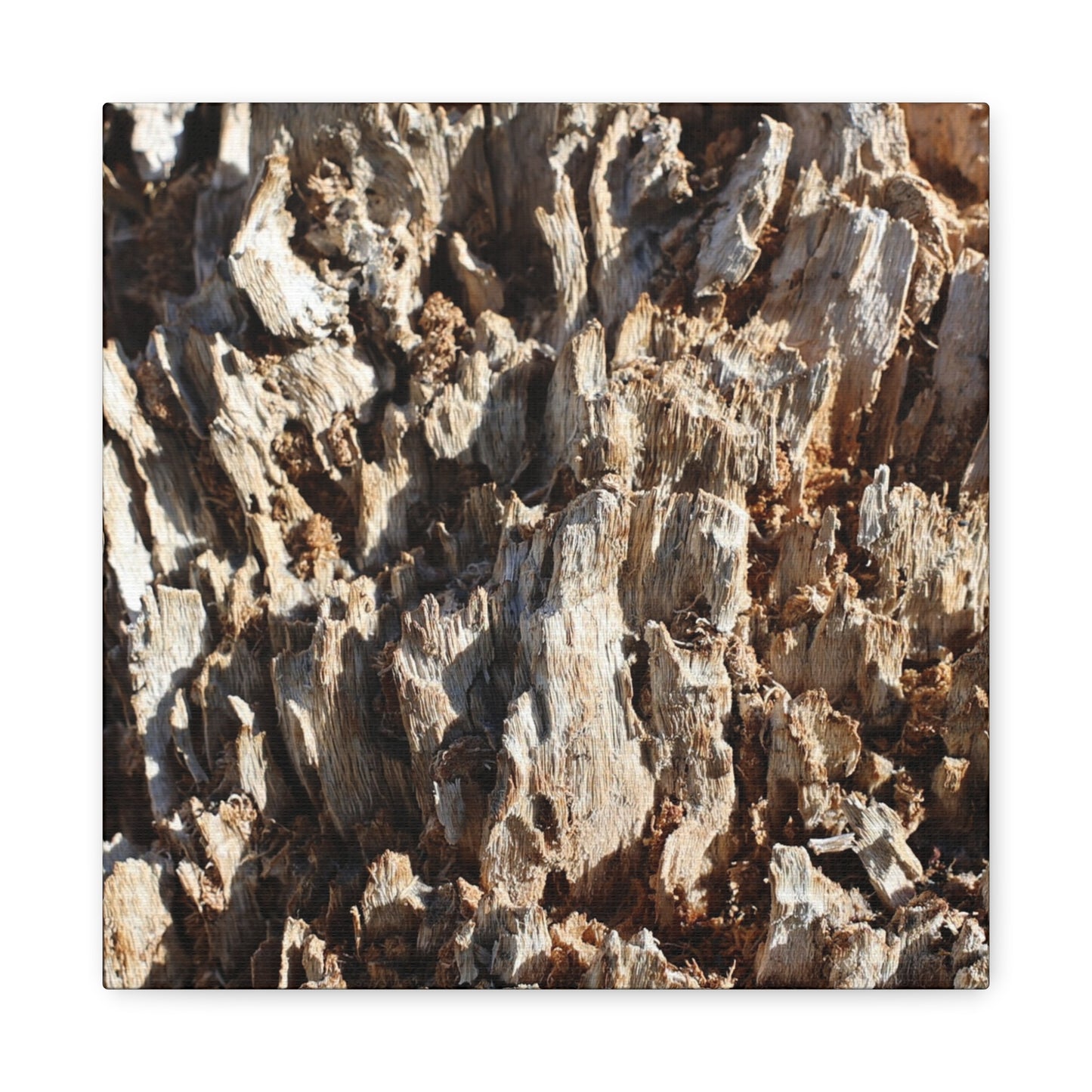 Decaying Bark Symphony - Unique Frameless Canvas Wall Art