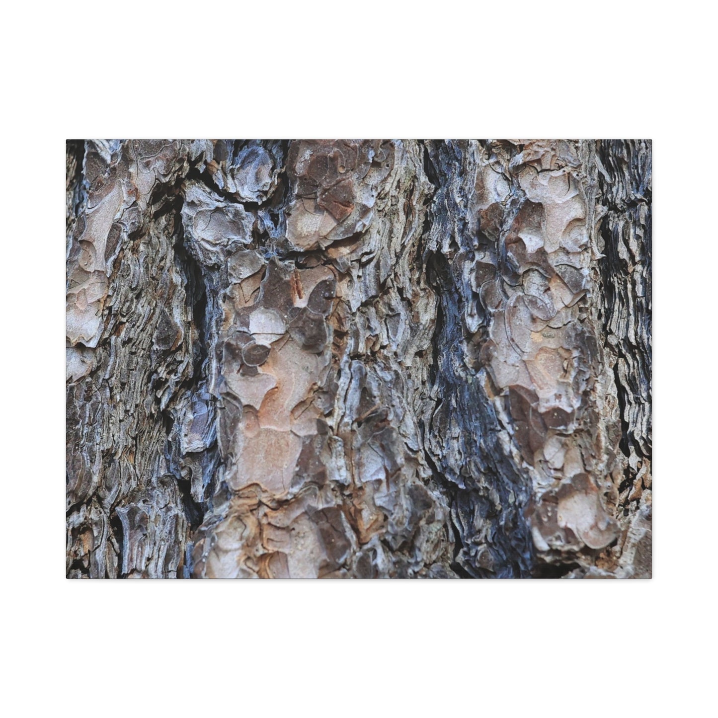 Arboreal Patterns - Unique Frameless Canvas Wall Art - Art By Earth