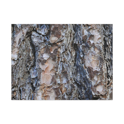 Arboreal Patterns - Unique Frameless Canvas Wall Art - Art By Earth